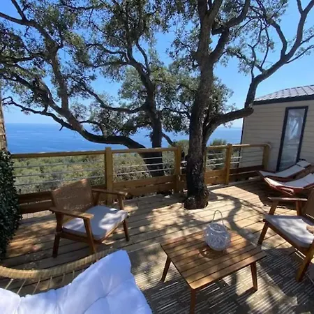 L'arbre Perche Saint-Raphaël