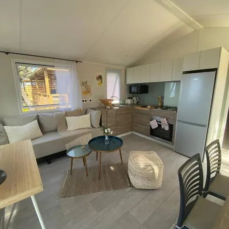 Camping L'arbre Perche Saint-Raphaël