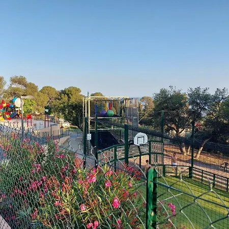 Camping L'arbre Perche Saint-Raphaël