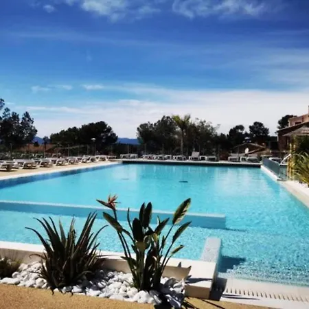 L'arbre Perche Saint-Raphaël